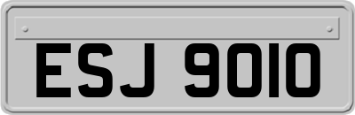 ESJ9010
