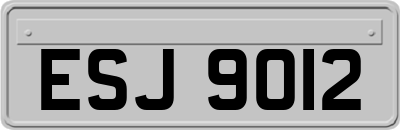 ESJ9012