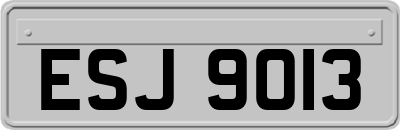 ESJ9013