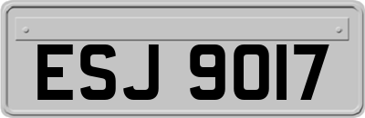 ESJ9017