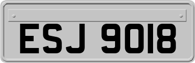 ESJ9018