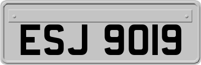 ESJ9019