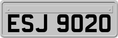 ESJ9020