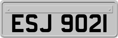 ESJ9021