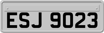 ESJ9023