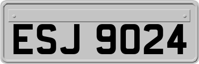 ESJ9024