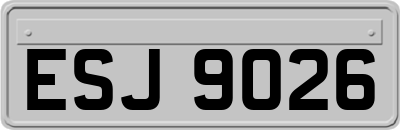 ESJ9026