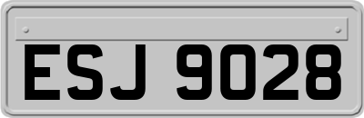 ESJ9028