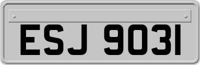 ESJ9031