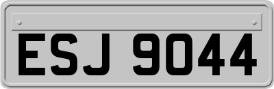 ESJ9044