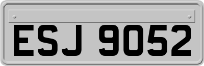 ESJ9052