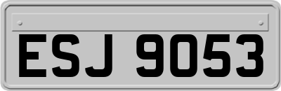 ESJ9053