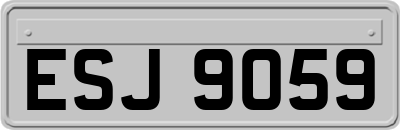 ESJ9059