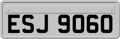 ESJ9060
