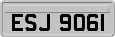 ESJ9061