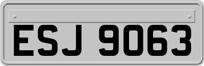 ESJ9063
