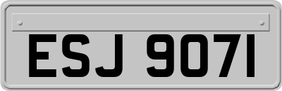 ESJ9071