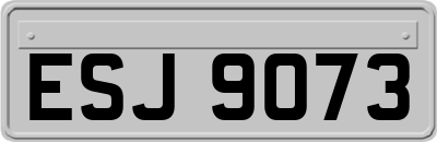 ESJ9073