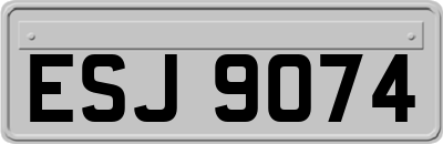ESJ9074