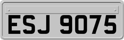 ESJ9075