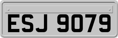 ESJ9079