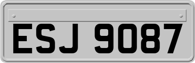 ESJ9087