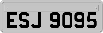 ESJ9095