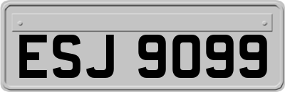 ESJ9099