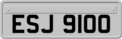 ESJ9100