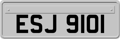 ESJ9101