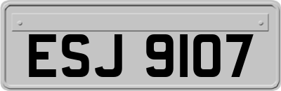 ESJ9107