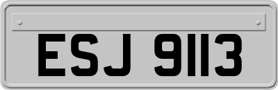 ESJ9113