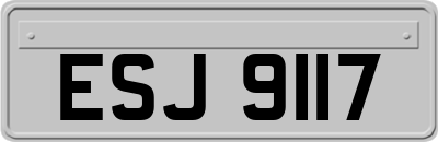 ESJ9117