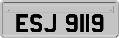 ESJ9119