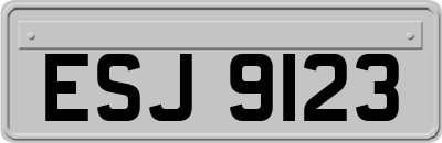 ESJ9123
