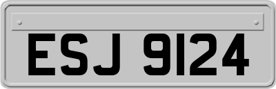 ESJ9124