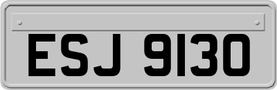 ESJ9130