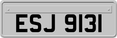 ESJ9131