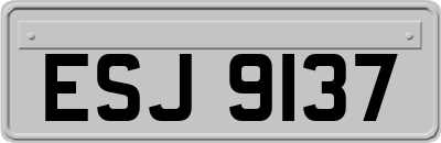 ESJ9137