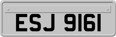 ESJ9161