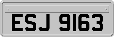 ESJ9163