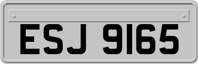 ESJ9165