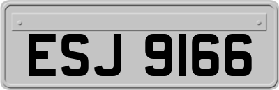 ESJ9166