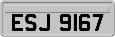 ESJ9167