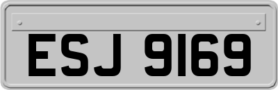 ESJ9169