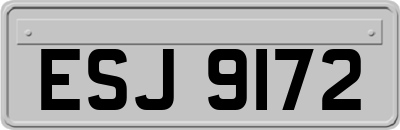 ESJ9172