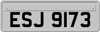 ESJ9173