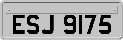 ESJ9175