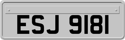 ESJ9181
