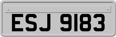ESJ9183